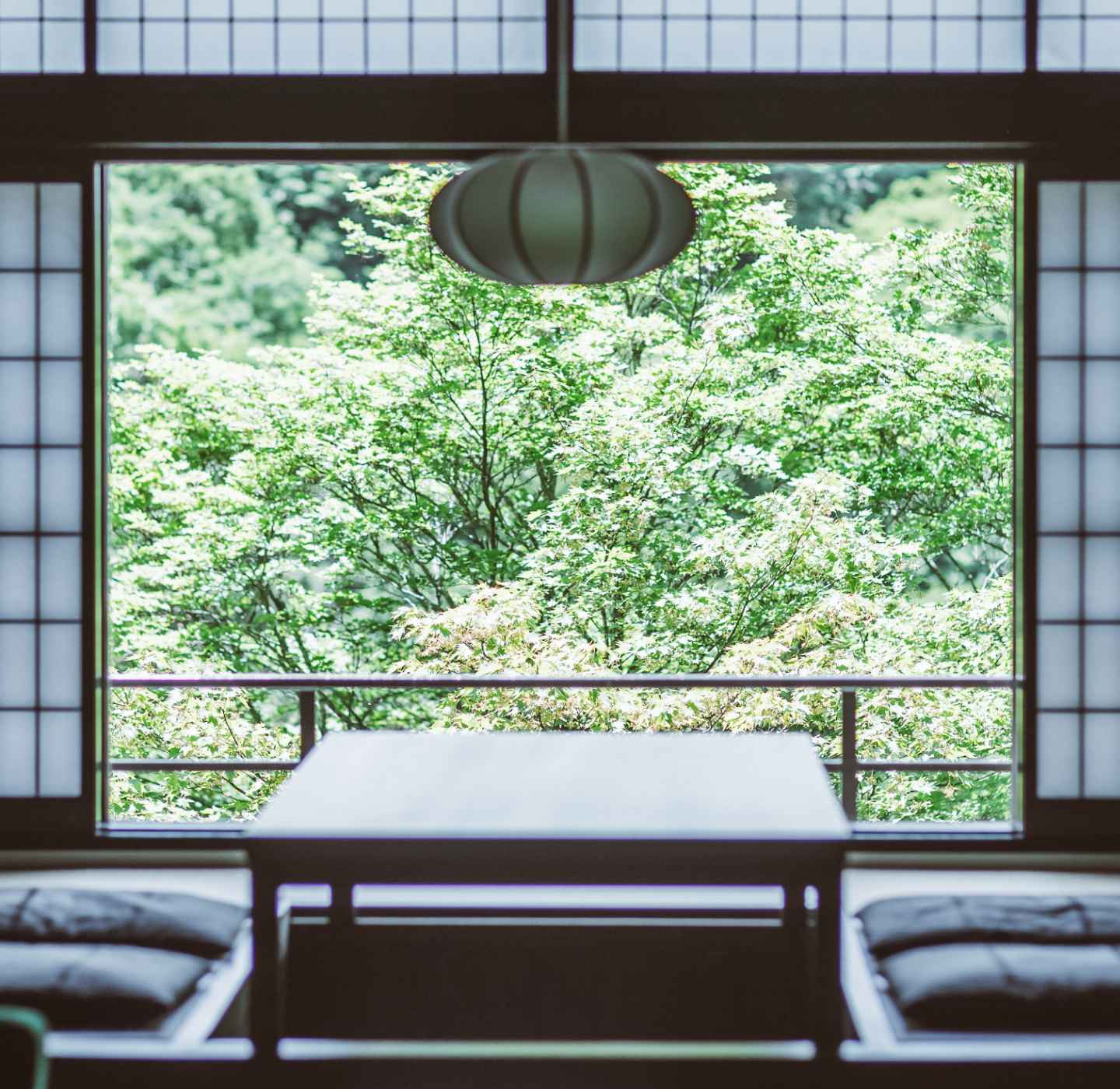 客室画像