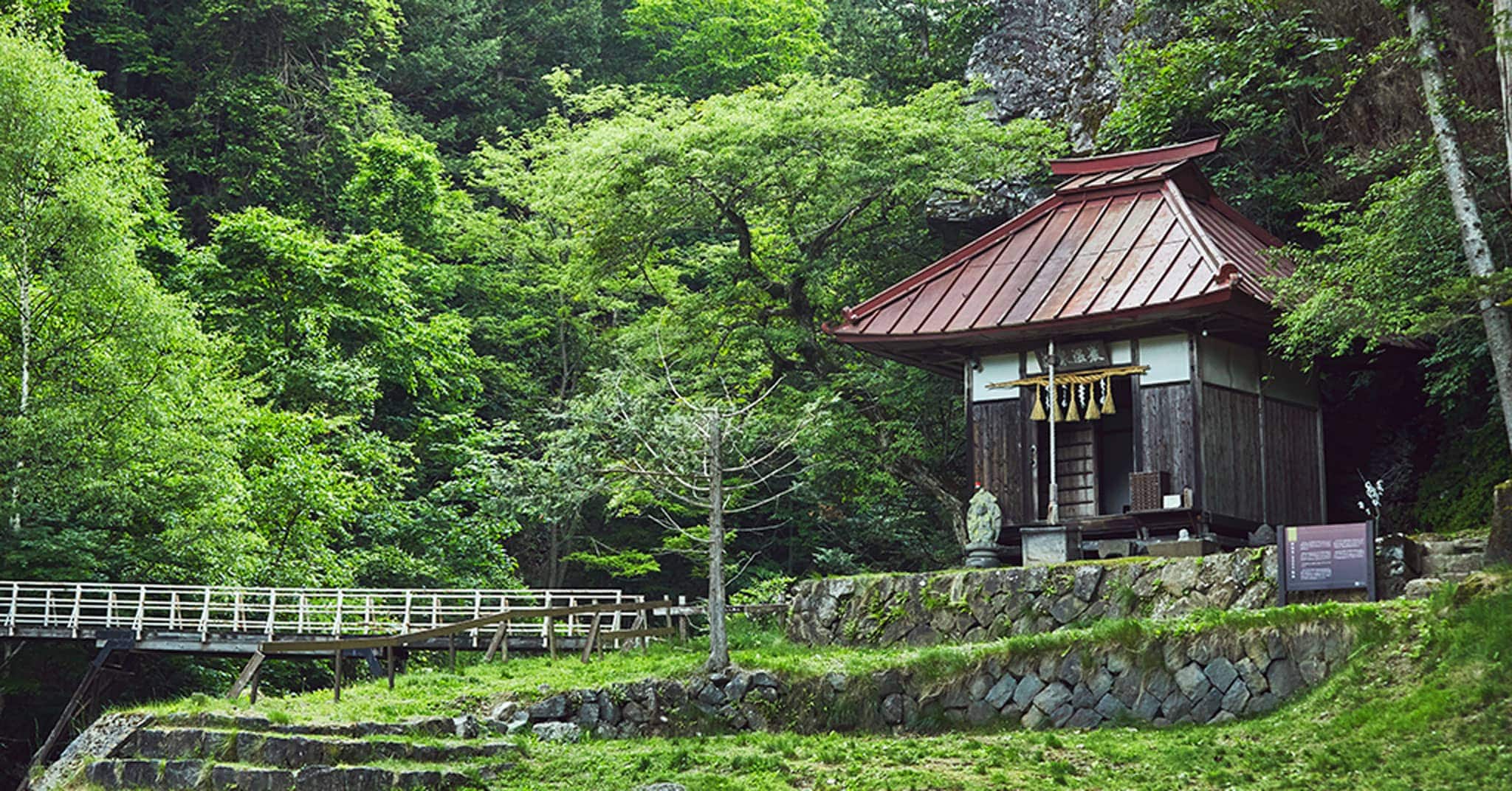 写真_緑鮮やかな風景