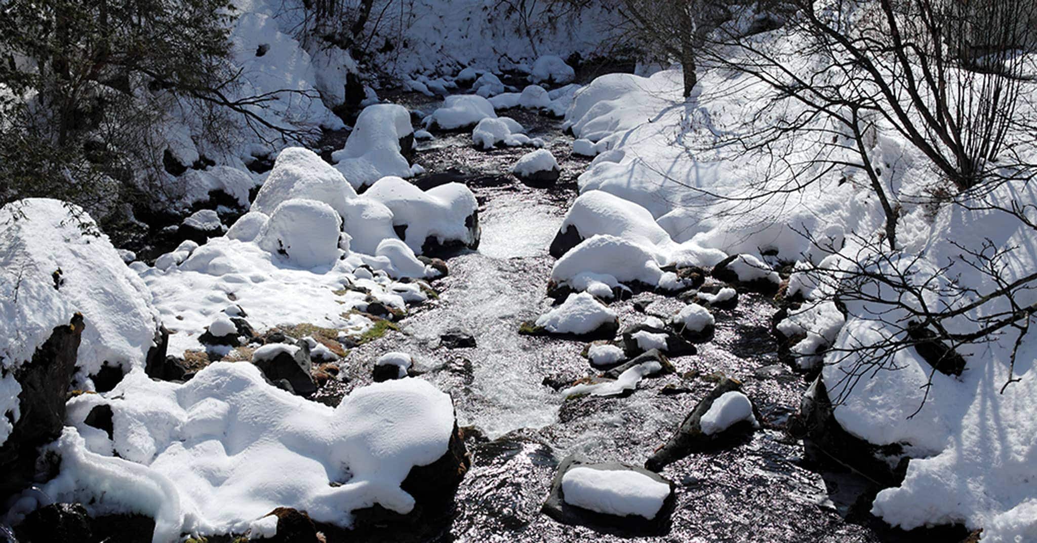 写真_雪解けの小川