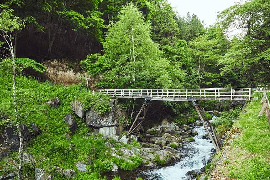 写真_ガーデンの橋