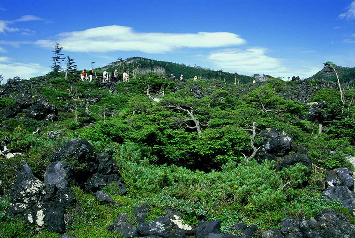 写真_北八ヶ岳ロープウェイ