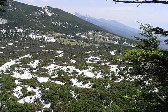 写真_北八ヶ岳ロープウェイ