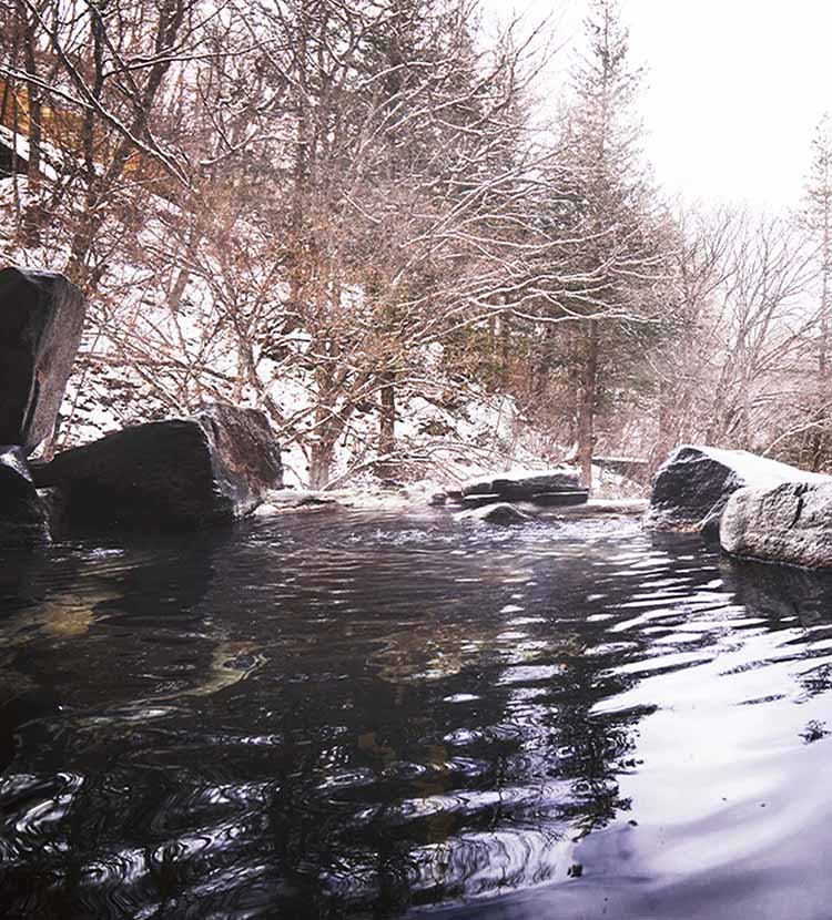 蓼科親湯温泉 露天風呂