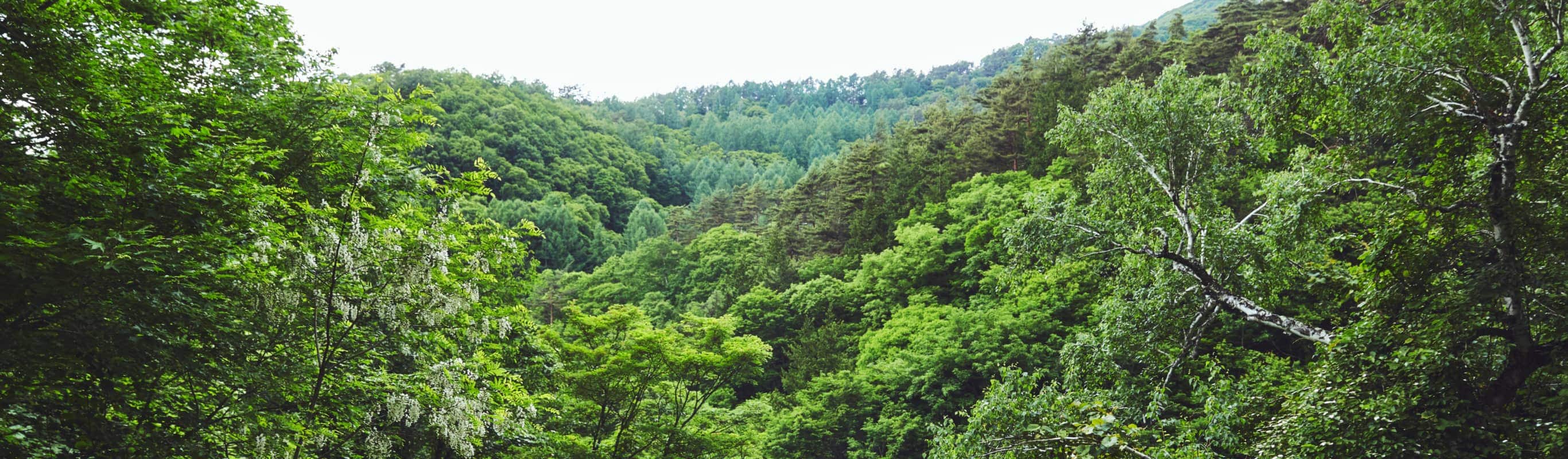 全ての人に旅の安心と楽しさを