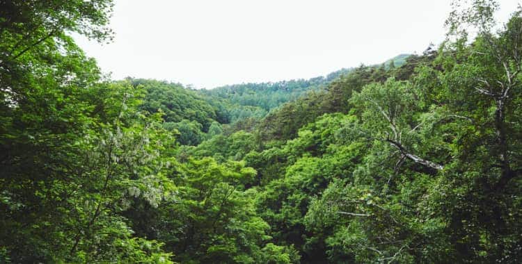 全ての人に旅の安心と楽しさを