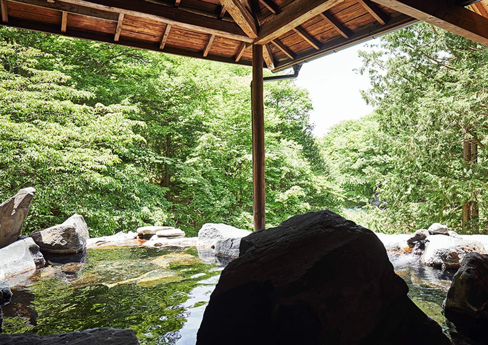 Open-air hot spring for ladies only Tenyo no Yu