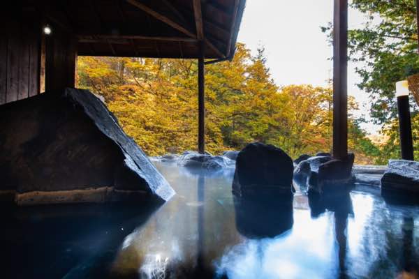 創業大正十五年 蓼科親湯温泉 温泉画像