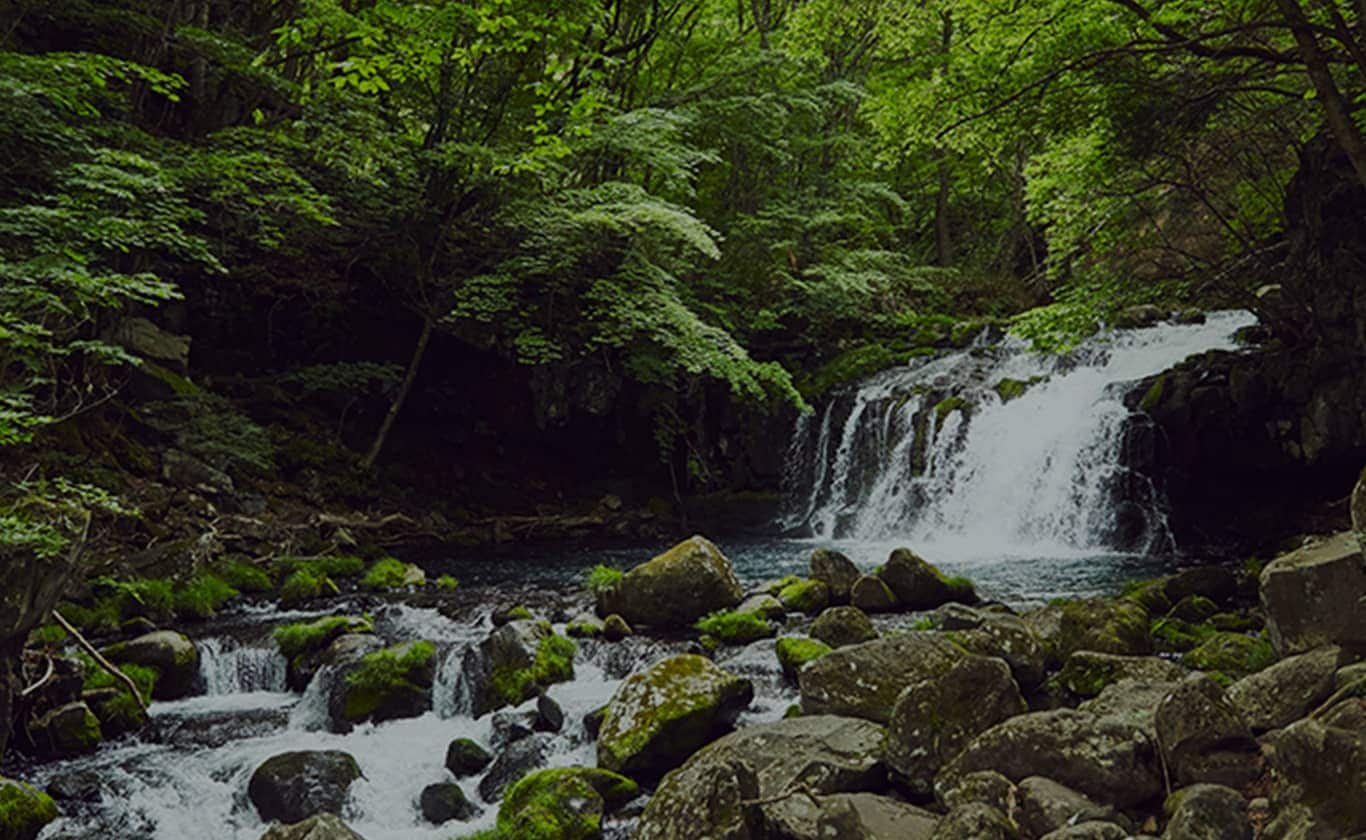 写真_綺麗な緑に囲まれた滝の風景