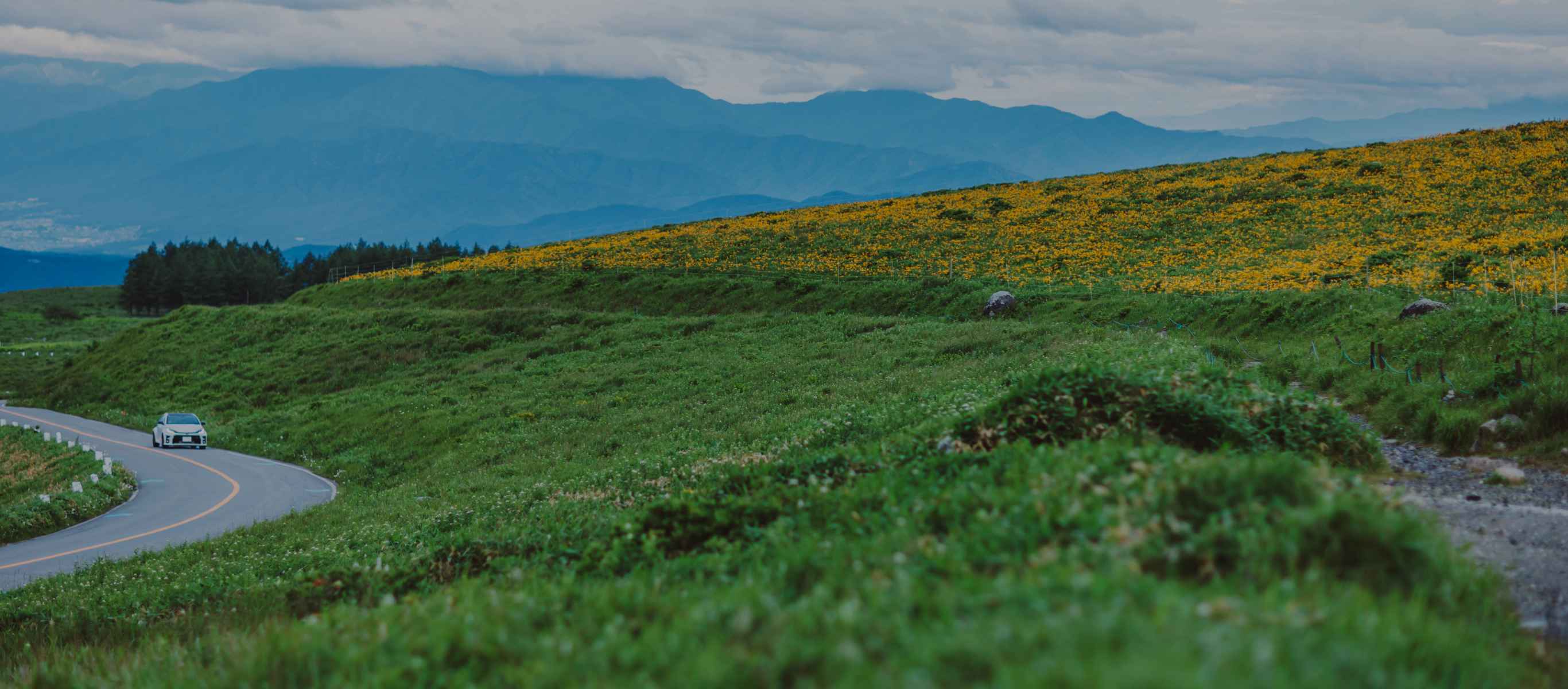 ビーナスライン全景