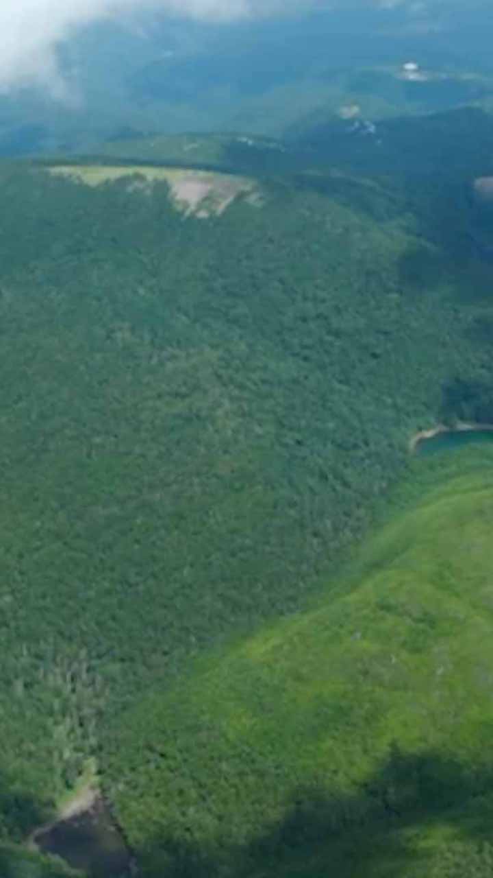 ビーナスライン