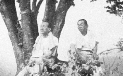 小津の一本桜"