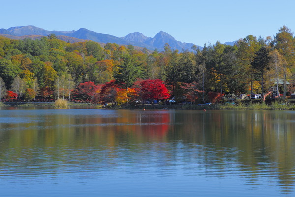 サムネイル_蓼科初秋の紅葉風景2018 ドローン撮影