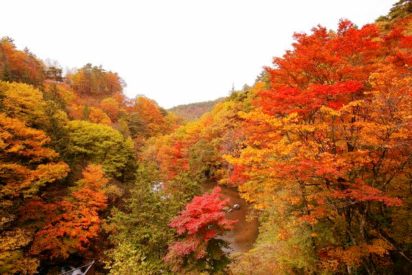 サムネイル_長門牧場「秋の収穫祭」