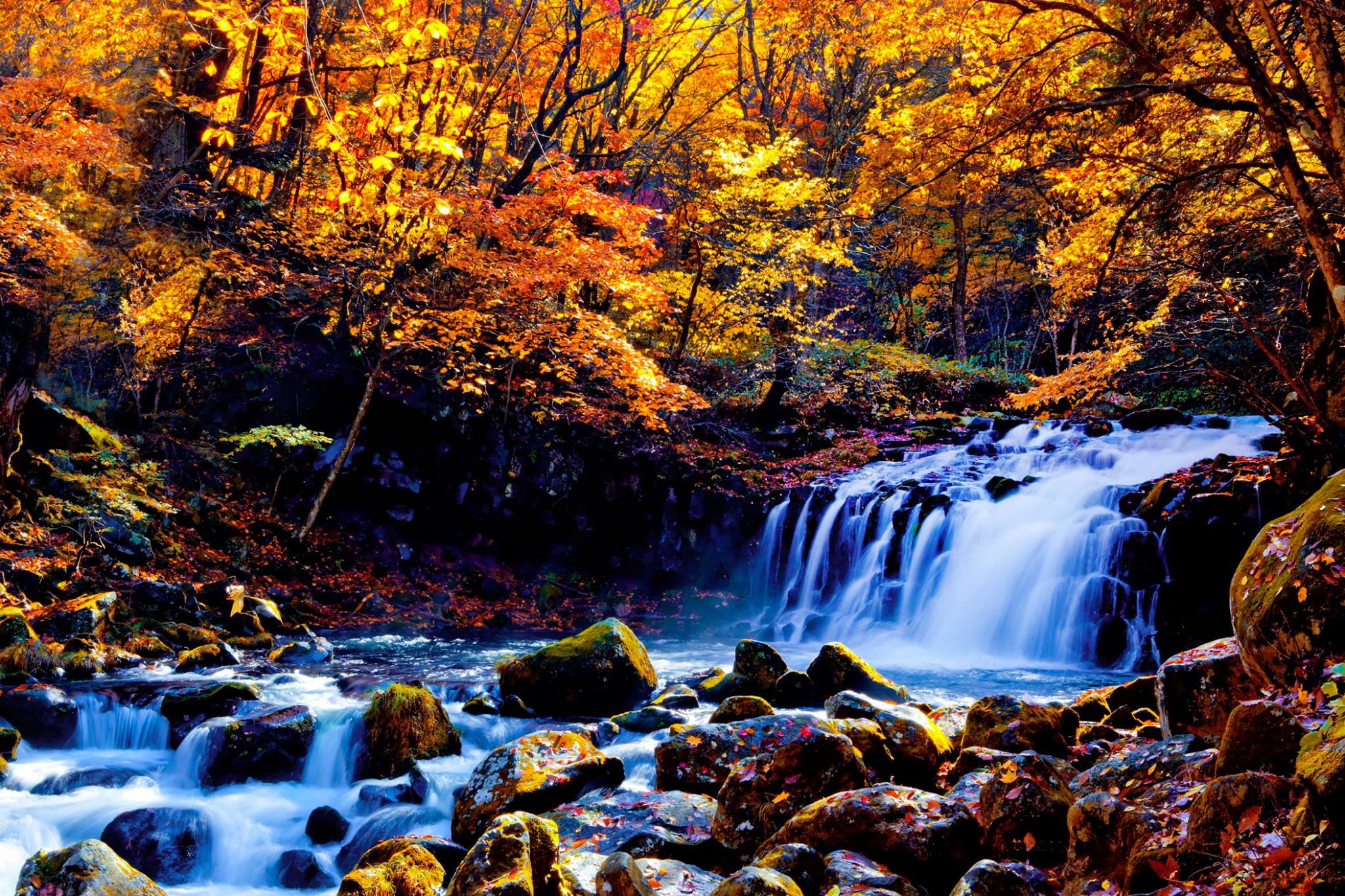 サムネイル_蓼科親湯温泉の紅葉風景