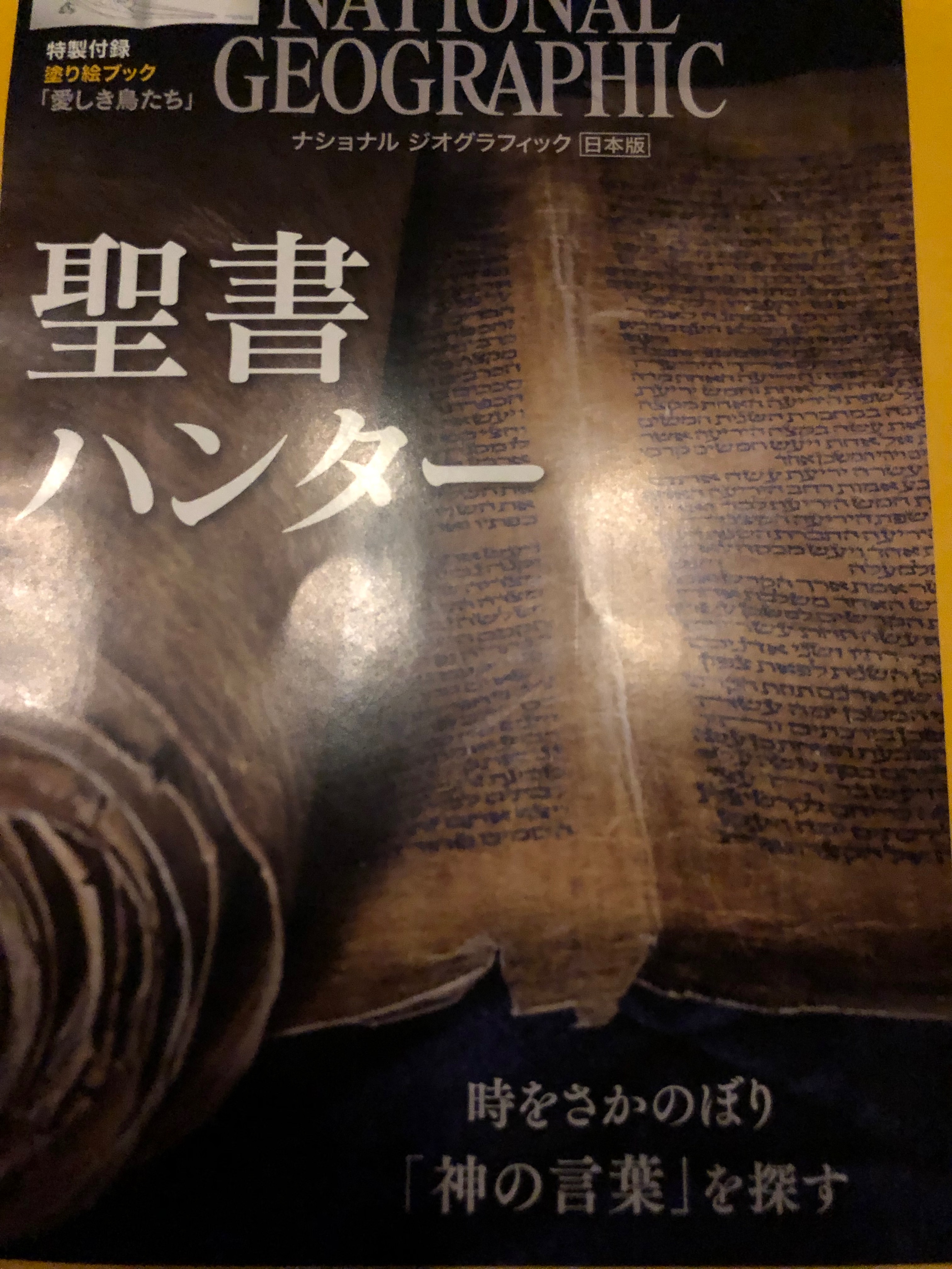 サムネイル_ナショナルジオグラフィック　２０１８年１２月号