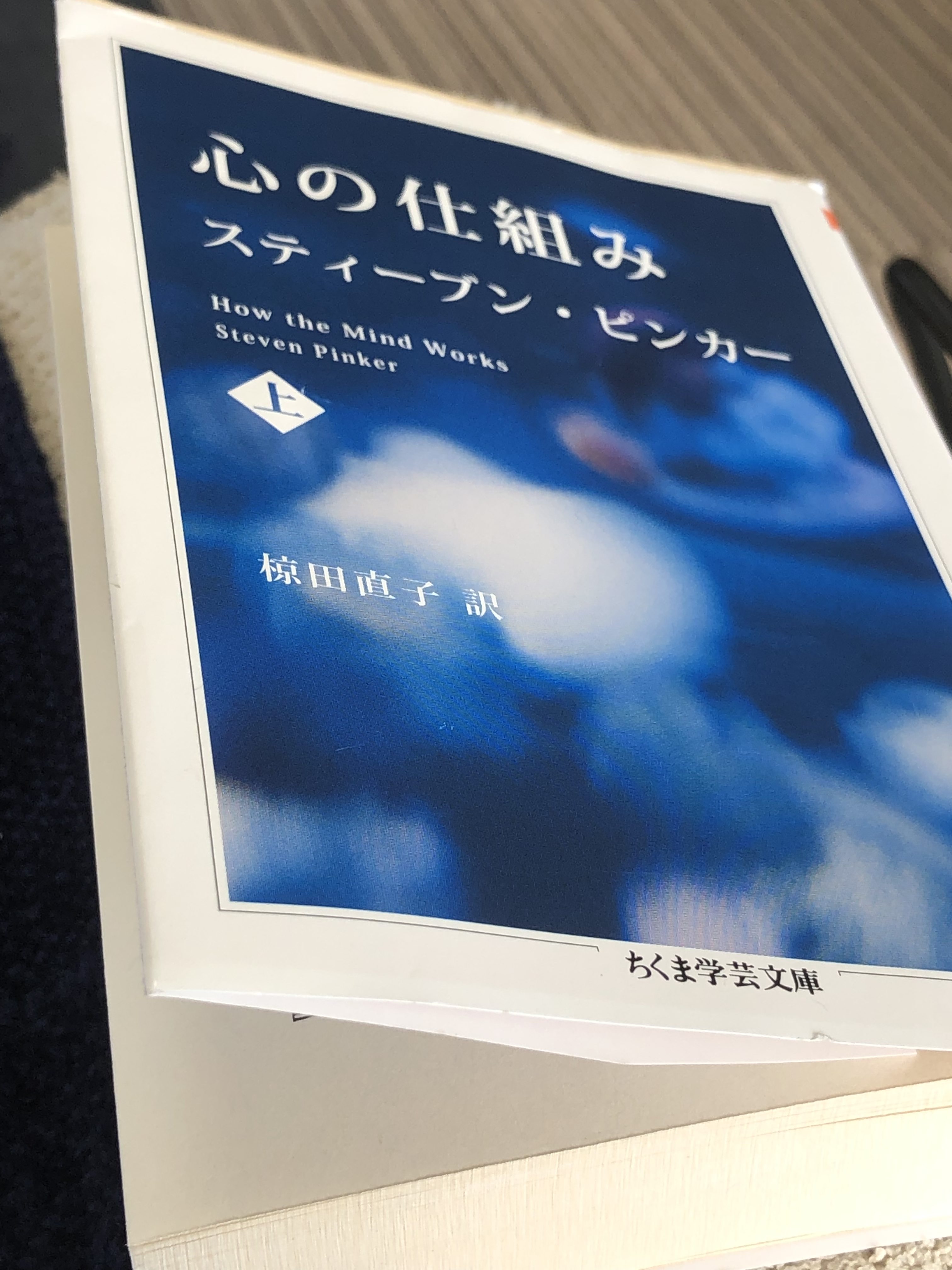 サムネイル_心の仕組み スティーブン・ピンカー