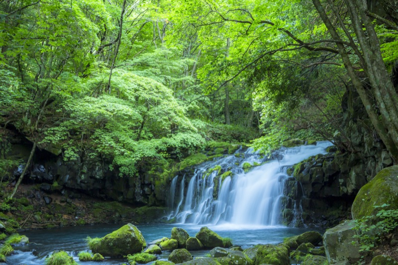 サムネイル_美しい新緑と苔の森　蓼科大滝　蓼科親湯温泉から徒歩15分