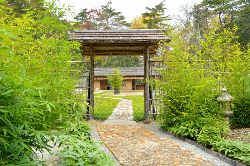 サムネイル_蓼科笹類植物園「笹離宮」4月27日(土)開園