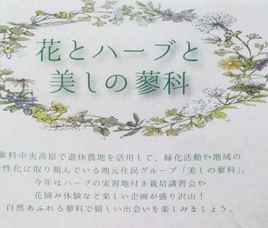 サムネイル_ハーブと宿根草 週末お楽しみコース