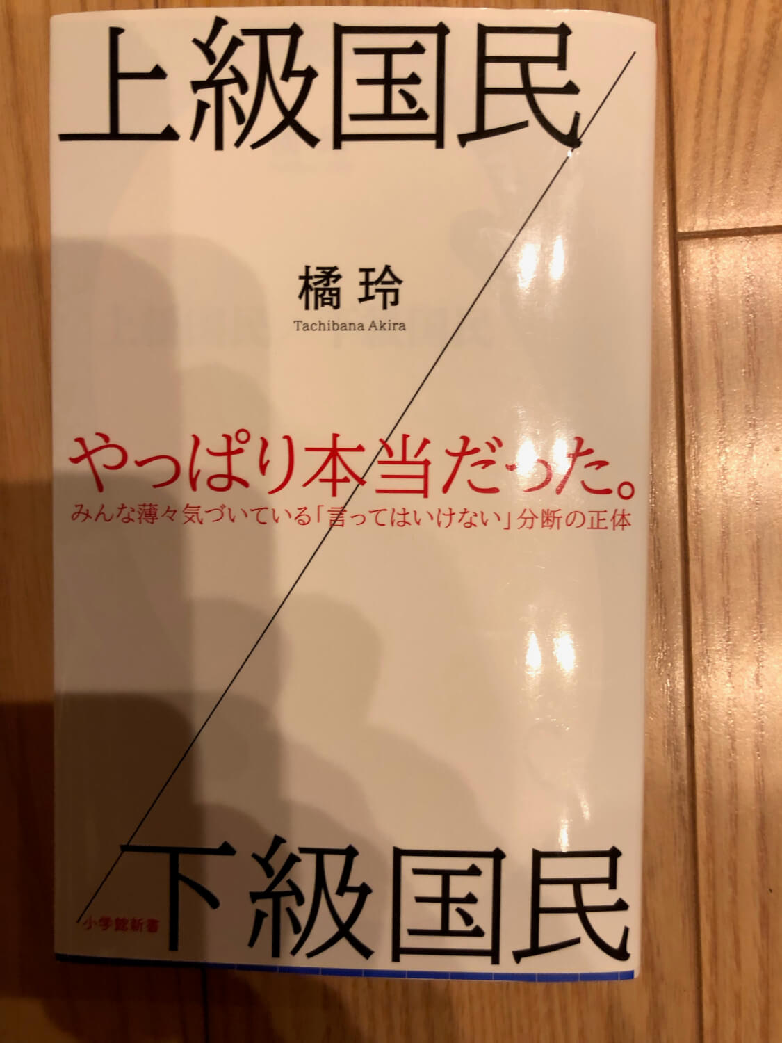 サムネイル_上級国民下級国民　橘玲