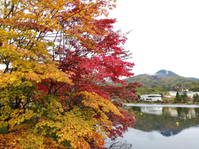サムネイル_蓼科湖周辺の紅葉が見頃