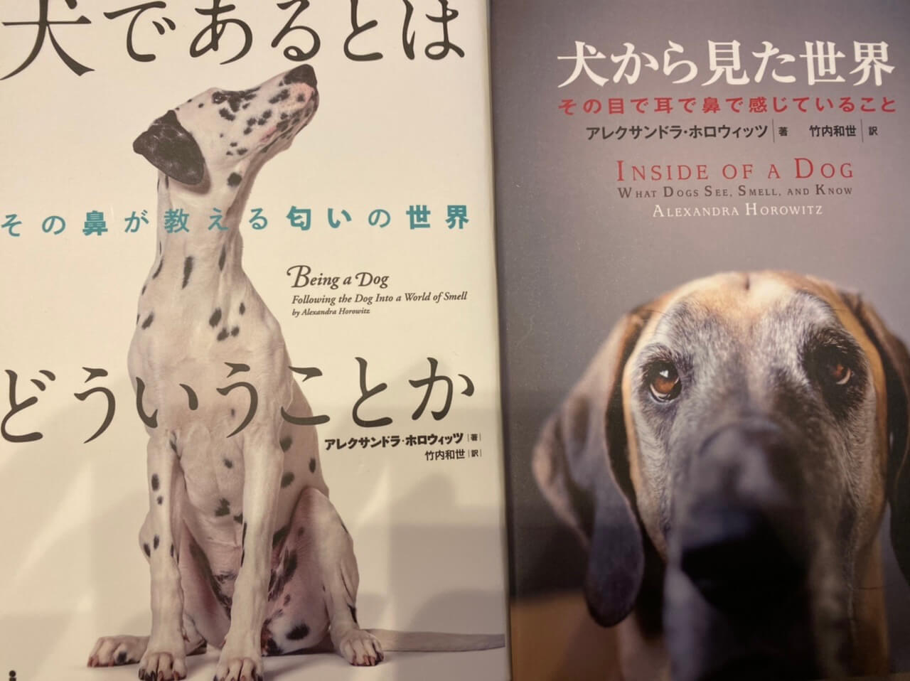 サムネイル_犬から見た世界、犬であるとはどういうことか　アレクサンドラ•ホロウィッツ