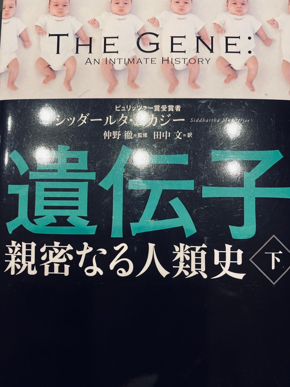 サムネイル_遺伝子親密なる人類史下　シッダールタ・ムカジー