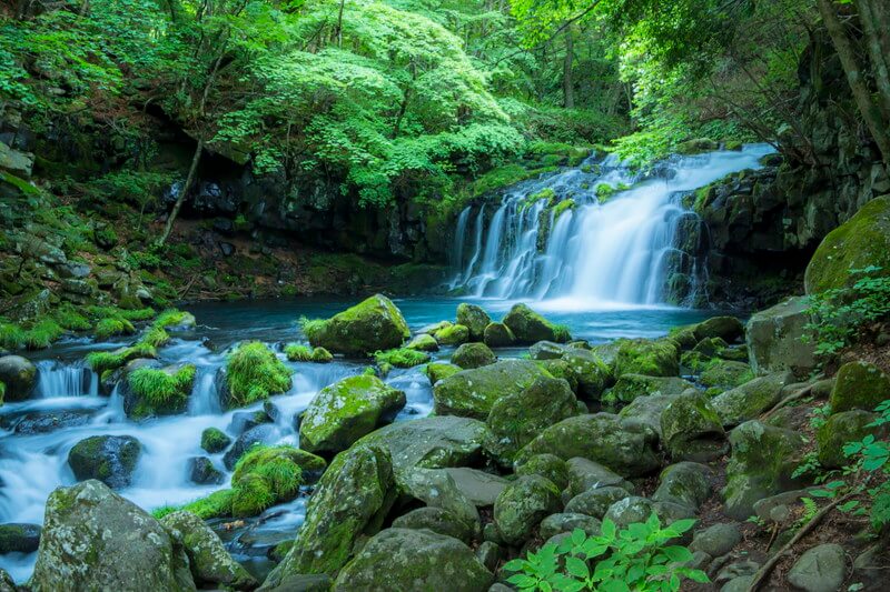 サムネイル_長野県民の皆さま向け【長野県ふっこう割のご案内】