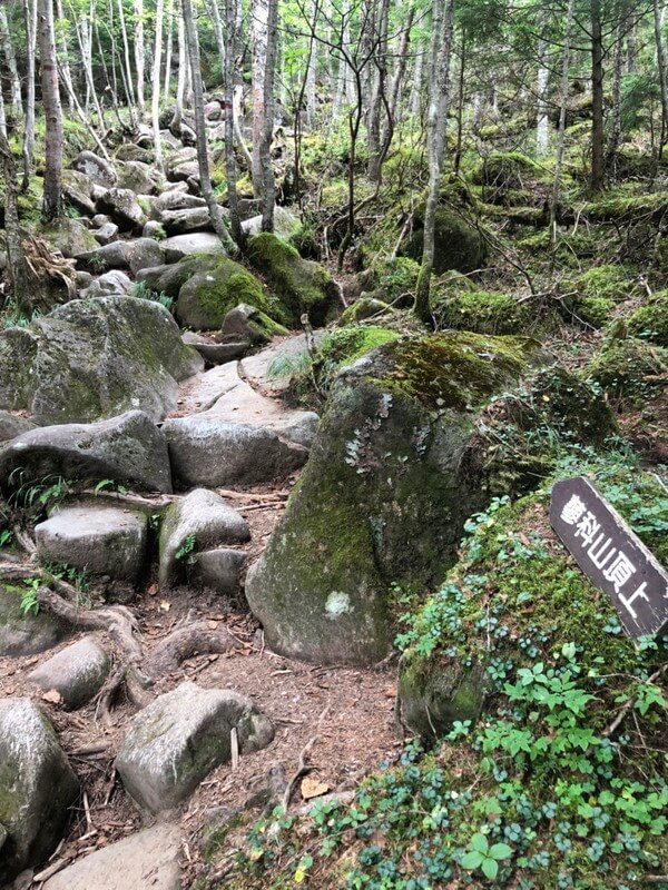 サムネイル_本日スタッフが蓼科山へ登りました。