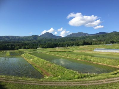 サムネイル_ちの旅アクティビティ（一部）再開