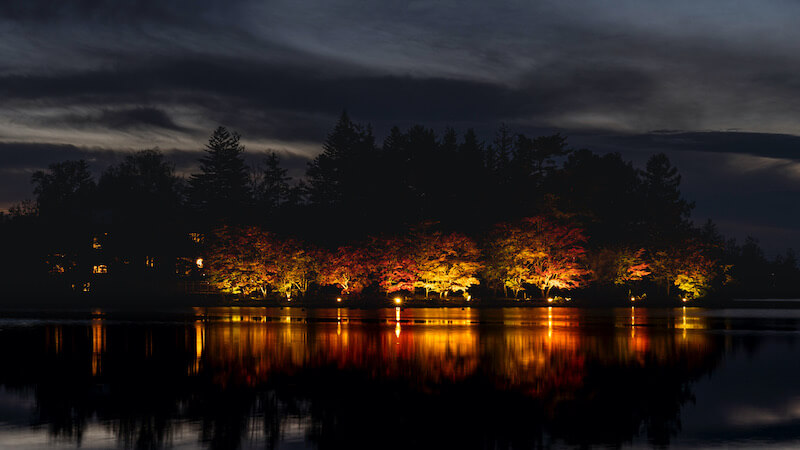 サムネイル_蓼科高原エリアは今が紅葉見頃