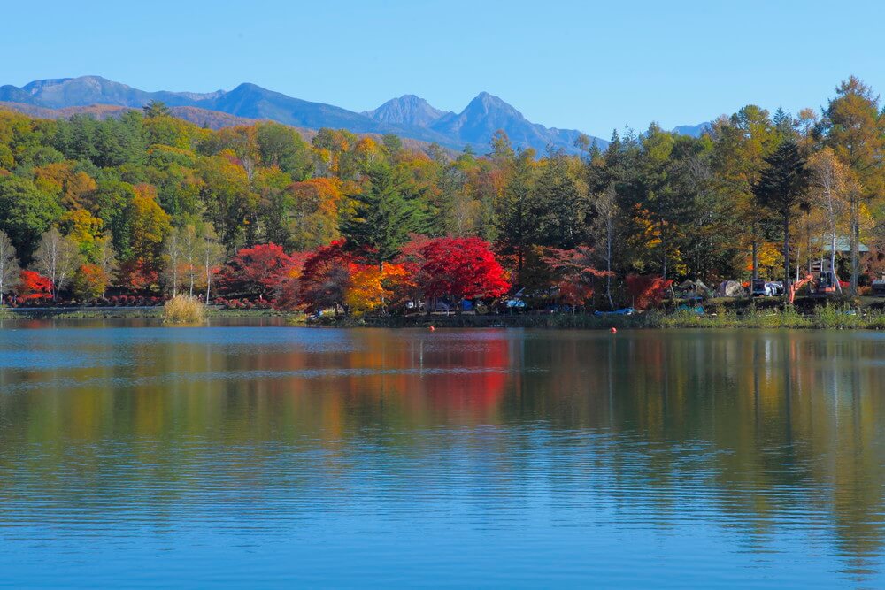 サムネイル_茅野の紅葉特集2020