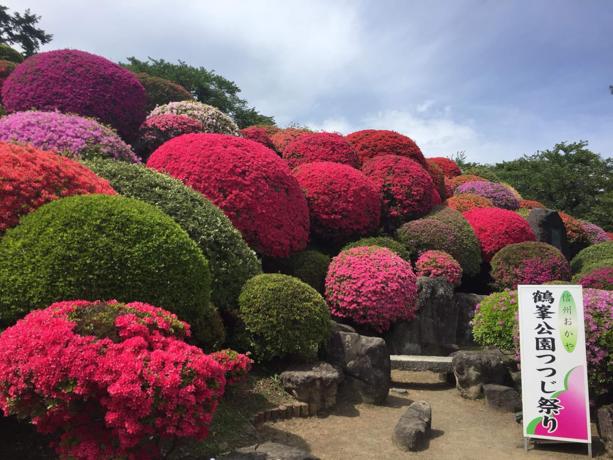 サムネイル_〜岡谷・鶴峯公園つつじ祭り〜