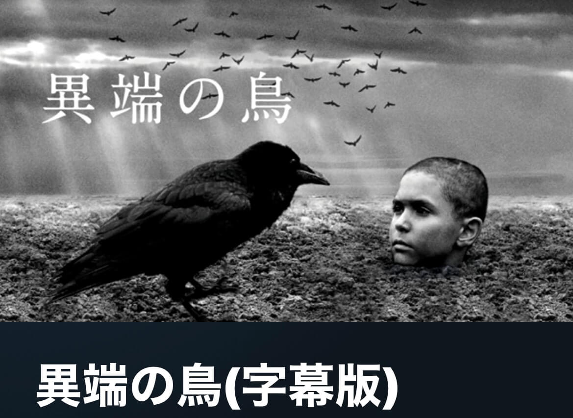 サムネイル_異端の鳥 ヴァーツラフ・マルホウル