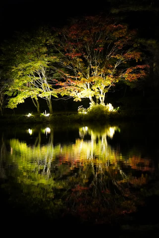 サムネイル_〜蓼科湖紅葉ライトアップ〜