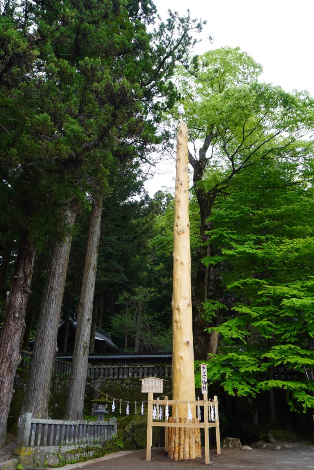 サムネイル_〜諏訪大社上社本宮前宮の御柱〜