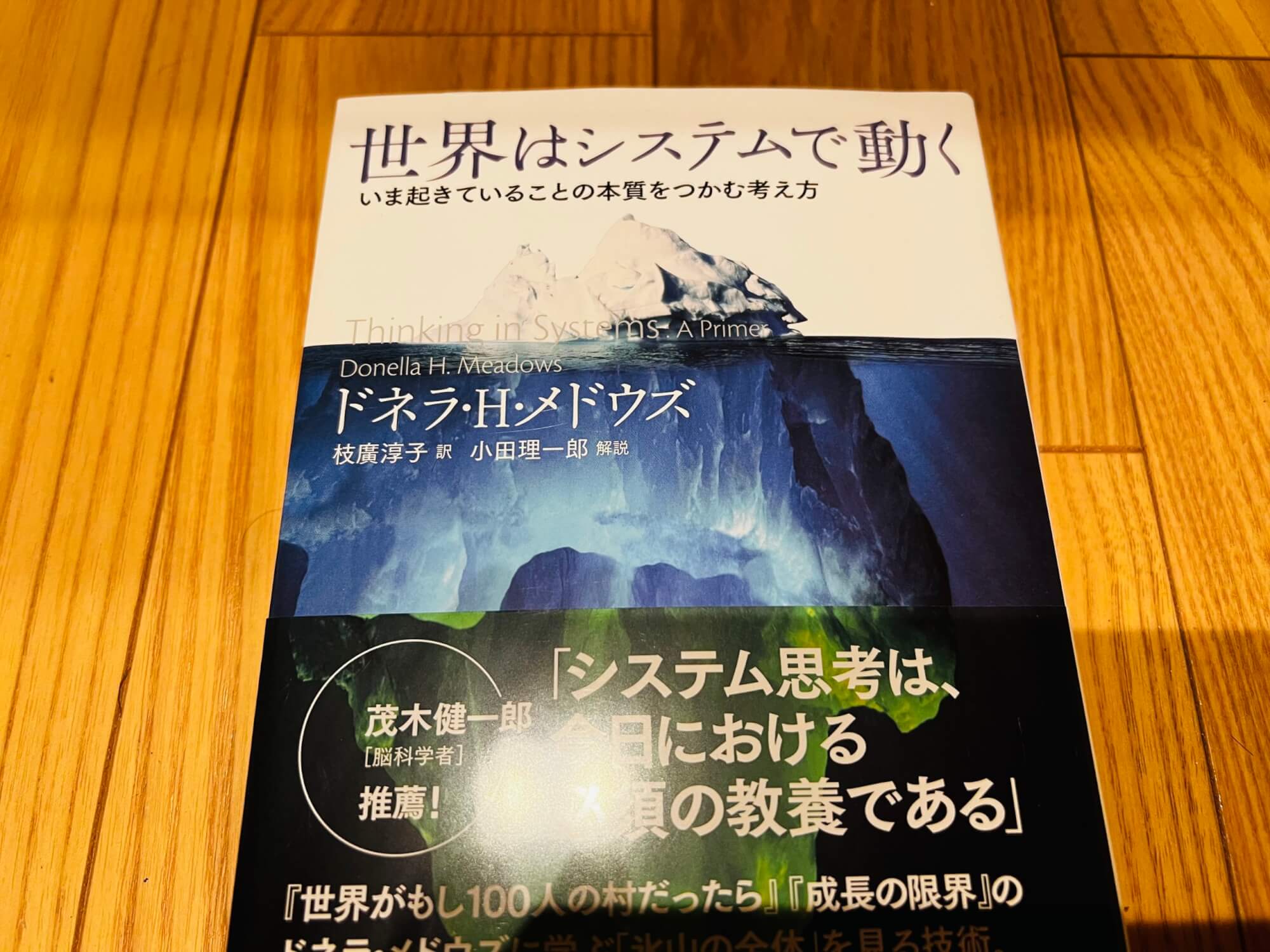 サムネイル_世界はシステムで動く　ドネラ・H・メドウズ