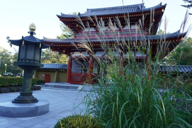 サムネイル_〜秋風吹く　蓼科山聖光寺〜