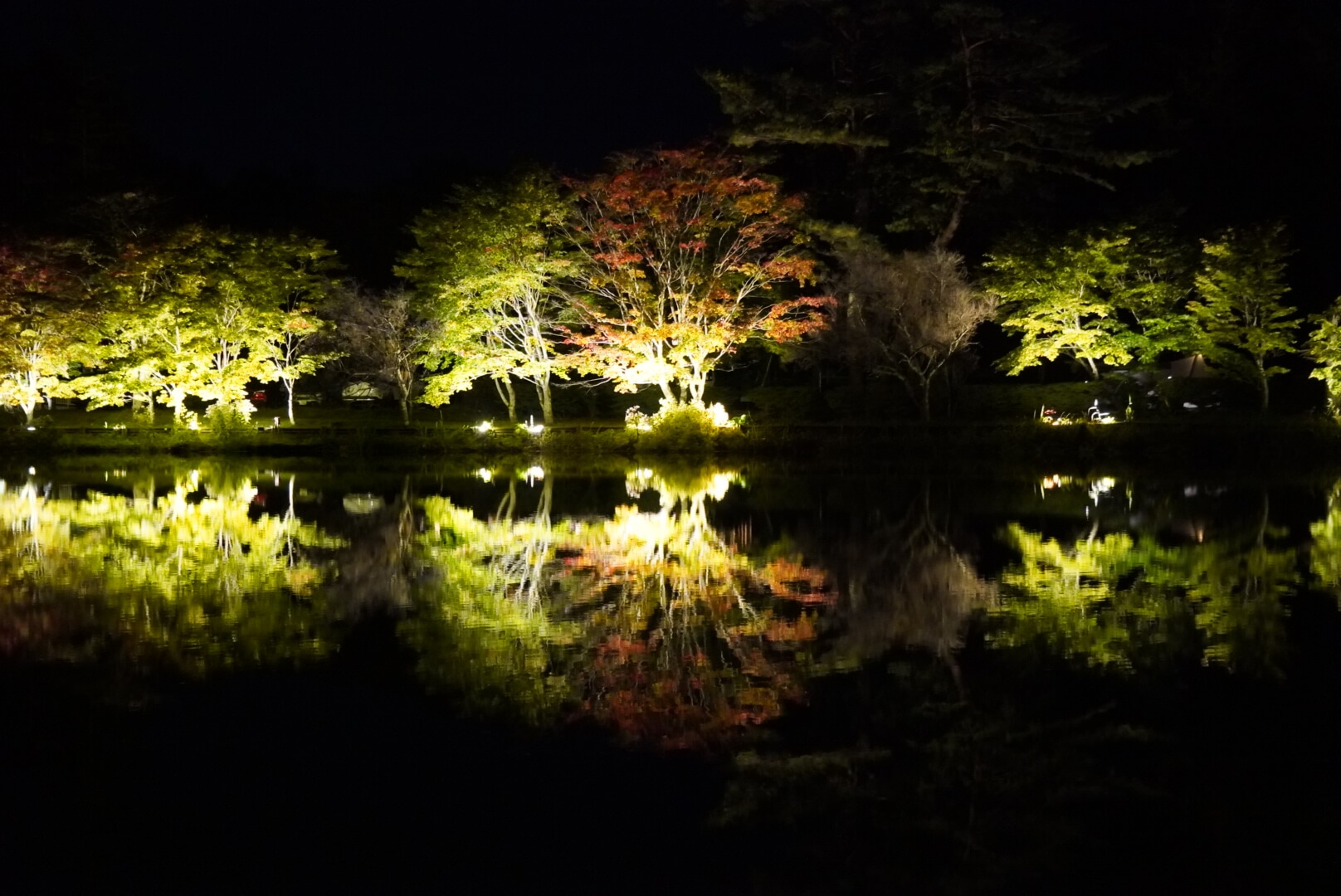 サムネイル_〜蓼科湖紅葉ライトアップ〜