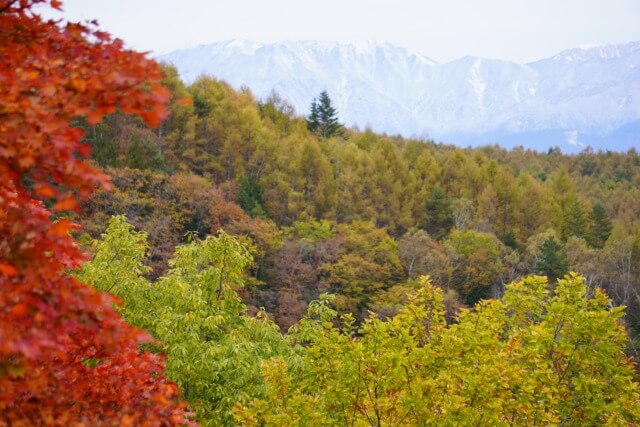 サムネイル_〜奥蓼科紅葉巡り〜