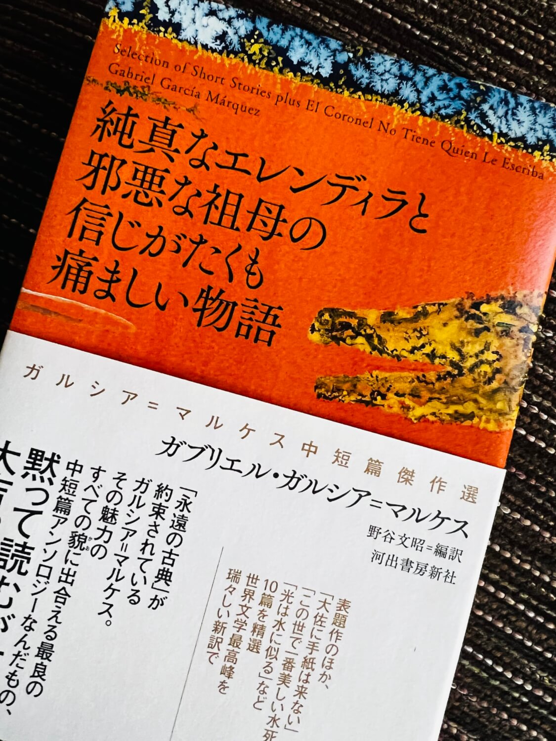 サムネイル_族長の秋|ガルシア・マルケス中短編傑作選|純真なエレンディラと邪悪な祖母の信じがたくも痛ましい物語り　ガルシア・マルケス