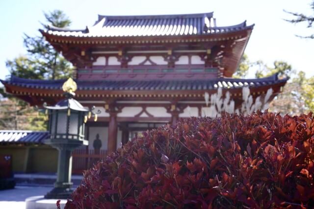 サムネイル_〜秋の聖光寺〜