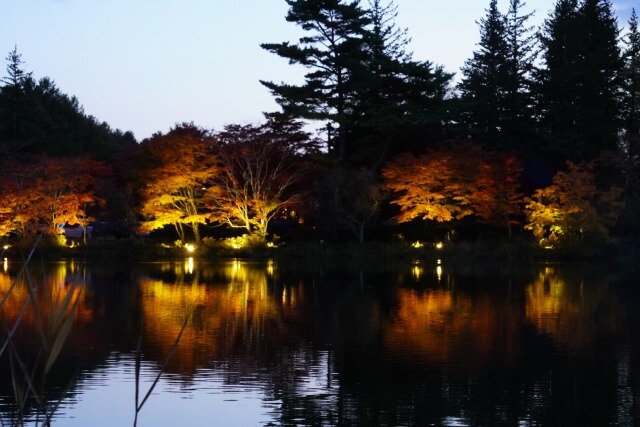 サムネイル_〜蓼科湖の紅葉〜