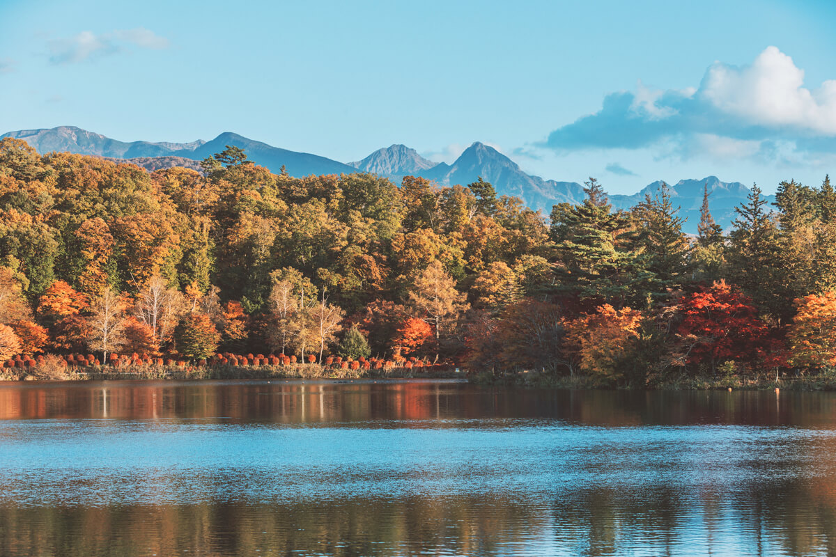 サムネイル_〜蓼科の紅葉2023〜