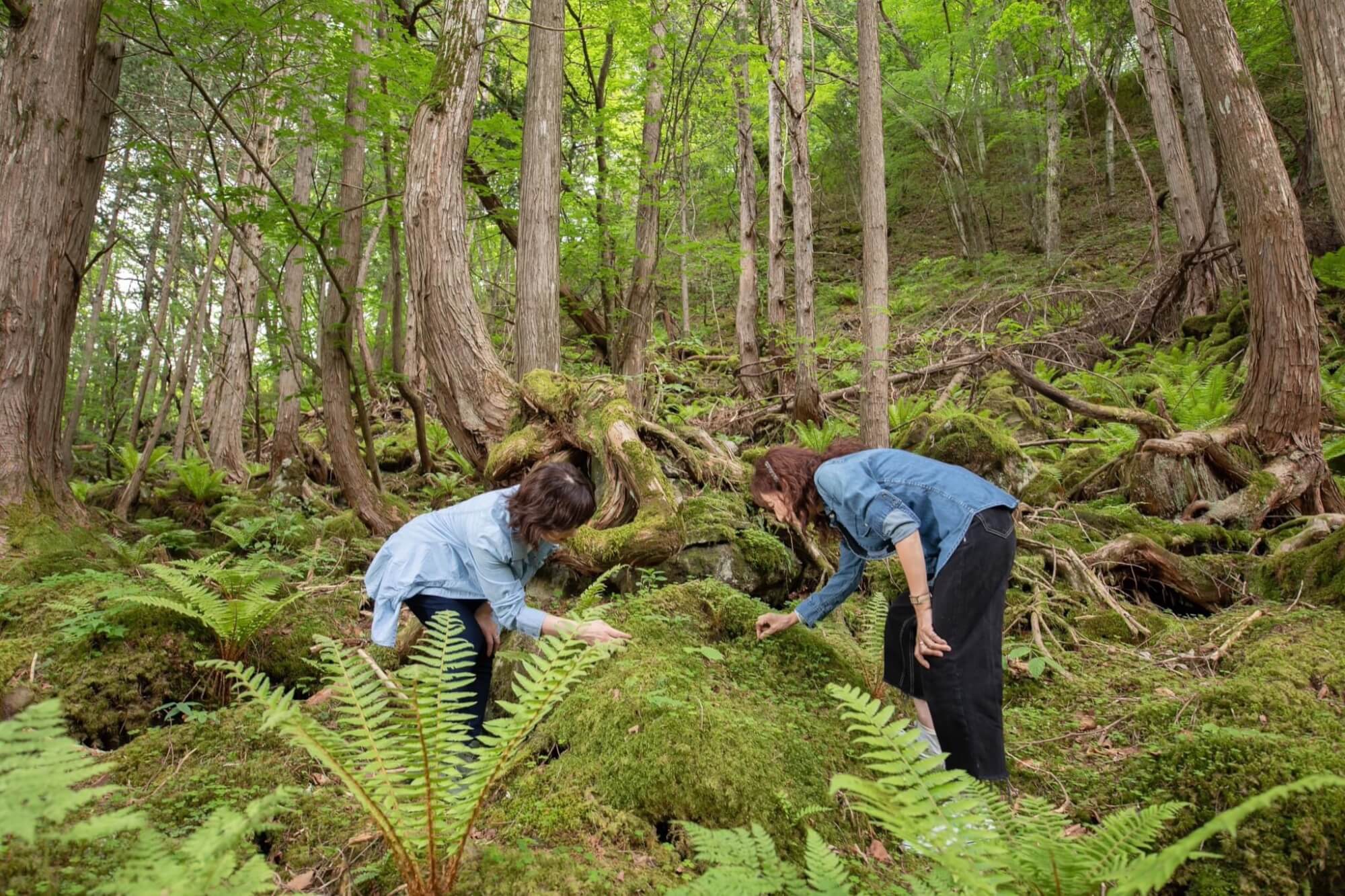 サムネイル_〜【苔の森「蓼科大滝」】蓼科 親湯温泉から徒歩15分～