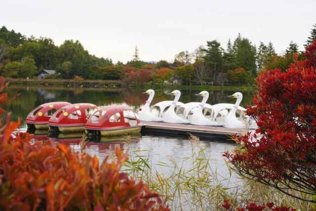 サムネイル_〜紅葉情報・蓼科湖周辺〜