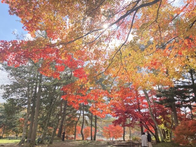サムネイル_〜深まる蓼科の秋／蓼科湖〜