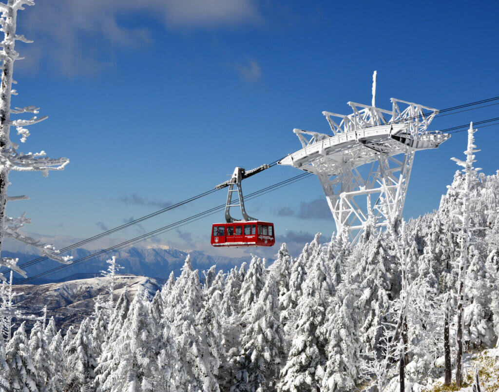 スキー・スノボープラン