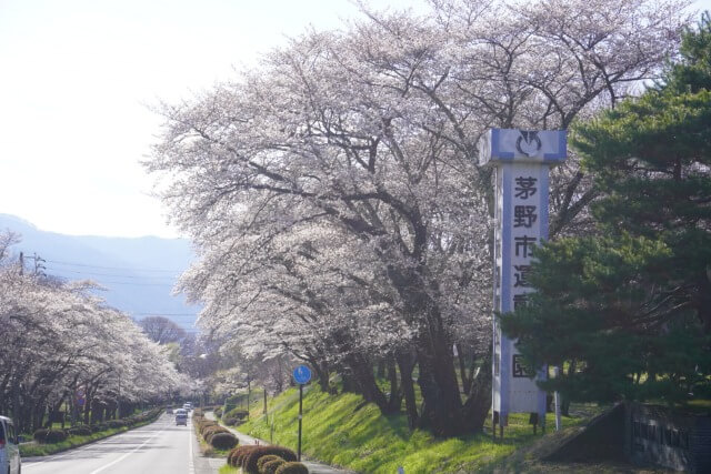 サムネイル_〜TOYOTA GAZOO Racing Rally Challenge in 八ヶ岳&茅野2025〜