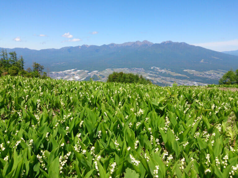 サムネイル_〜富士見パノラマリゾート　すずらん祭り〜